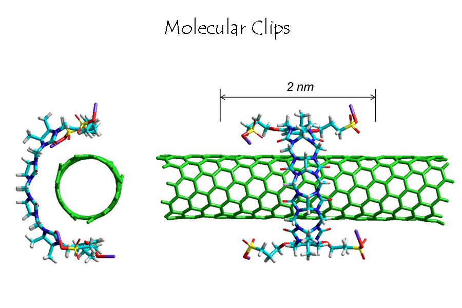 Molecular Clips